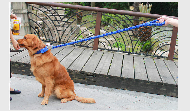 防挣脱】狗狗牵引绳中大型犬宠物狗链子项圈金毛萨摩耶哈士奇遛狗绳子