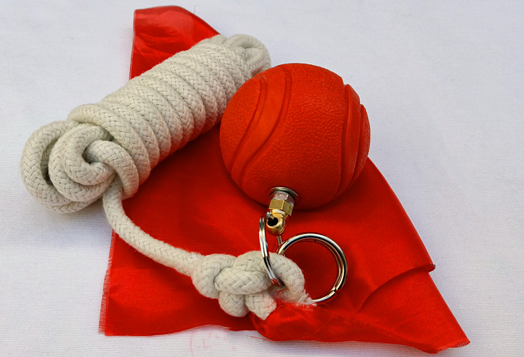 九节鞭练习绳奇门软九节鞭训练绳单双弹力实心儿童男女练习初学流星锤