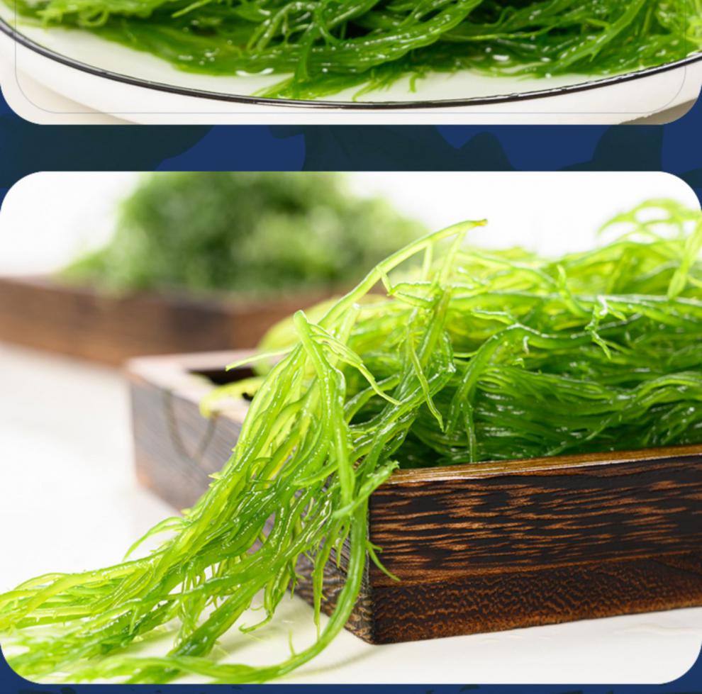 龙须菜海草海藻凉拌菜福建霞浦特产绿色藻类涮菜盐渍鹿角菜石花菜盐渍