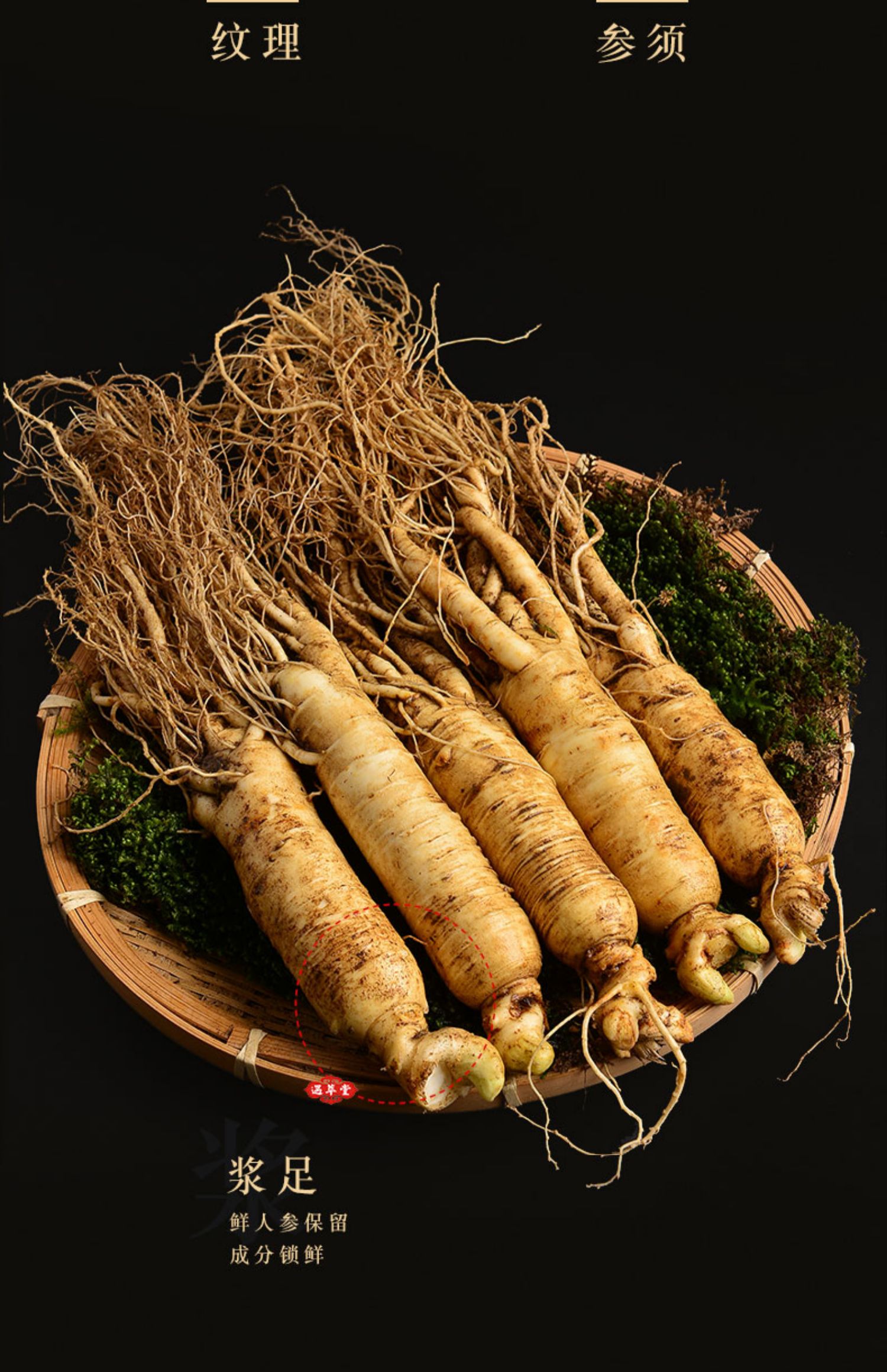 人参鲜参长白山野山参新鲜人参泡酒人叁500g正宗东北生晒林下参 现挖
