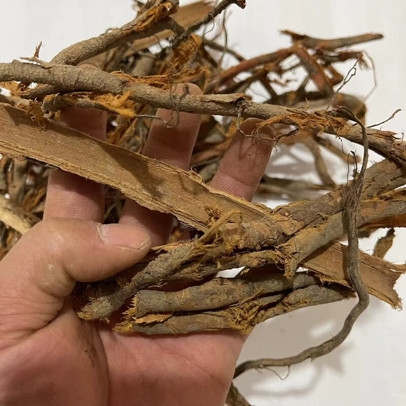 速如康李根皮中药材李根皮李根白皮甘李根白皮纯正天然野生无硫纯根皮