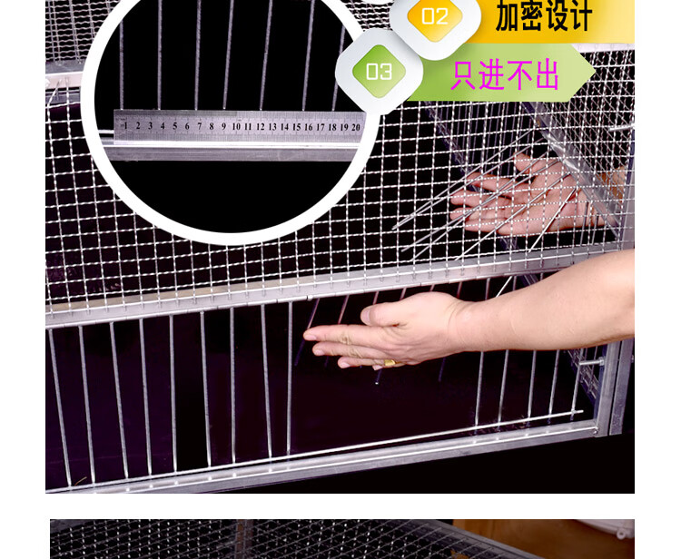 芙蓉花自动捕鸡神器网捕鸽收鸽笼全防逃脱笼收鸽笼天落笼抓鸽子套网