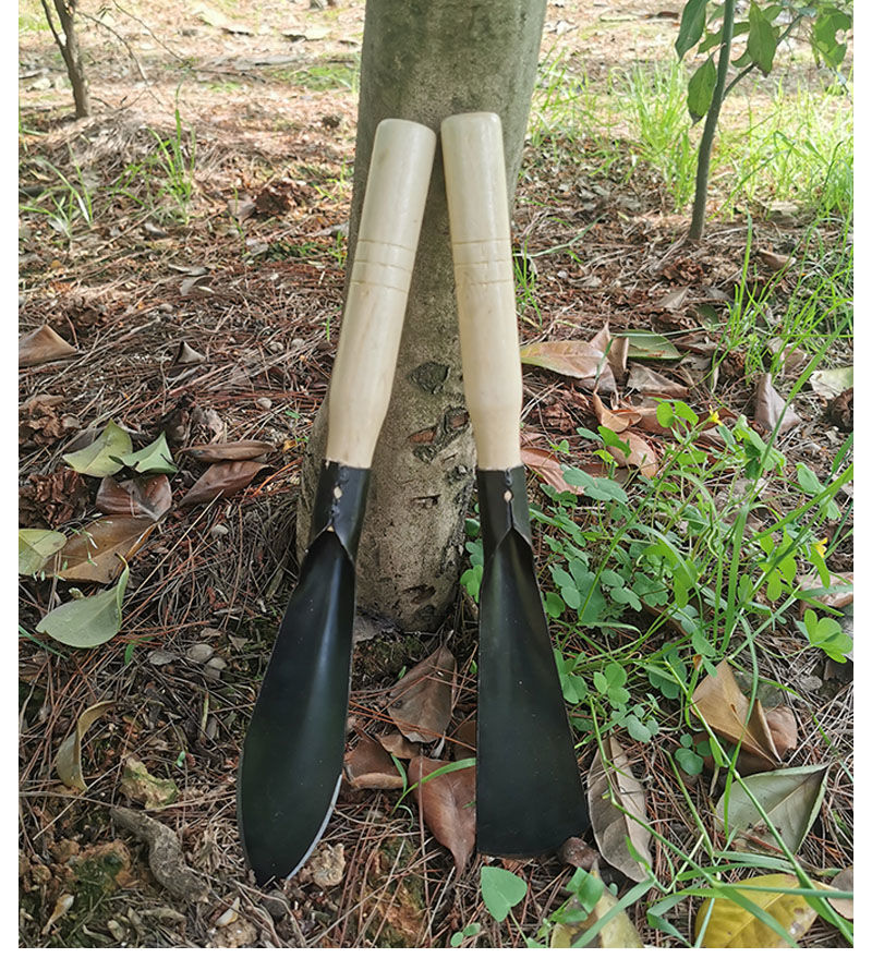 铲子园艺种花小铁铲工具家用多肉种菜除草挖土拔草户外挖野菜神器