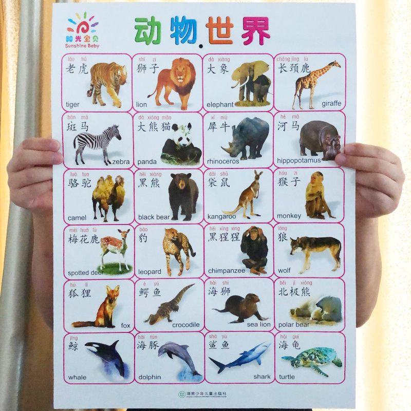 拼音挂图宝宝看图识字卡片认识颜色形状水果蔬菜汉语拼音韵母声母表