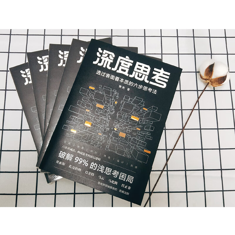 《深度思考:透过表面看本质的六步思考法》【摘要 书评 试读】- 京东