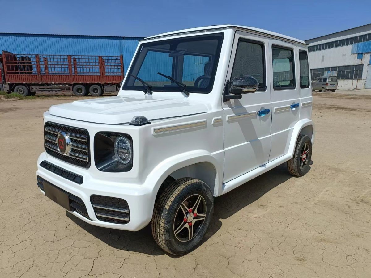 中老年代步电动车 奔驰大g四轮全封闭电动车成人家用锂电瓶油电两用