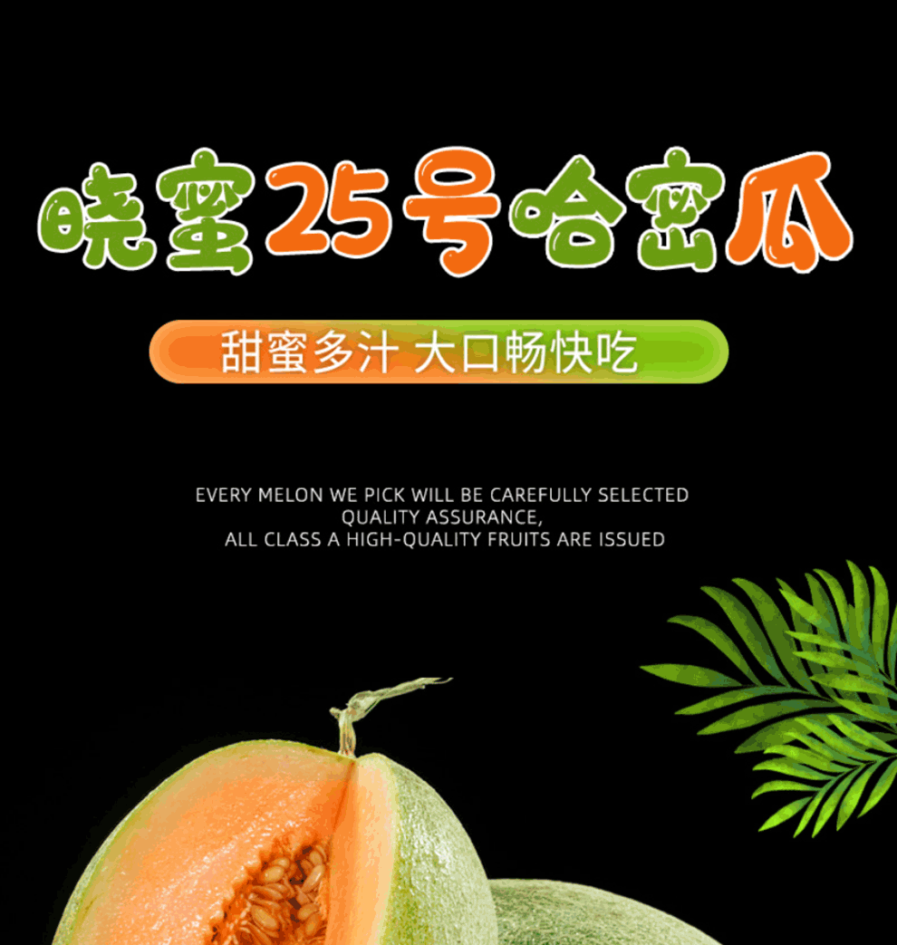 轻恋山东西州蜜哈密瓜晓蜜小蜜25号当季新鲜水果产地直发精选9斤装