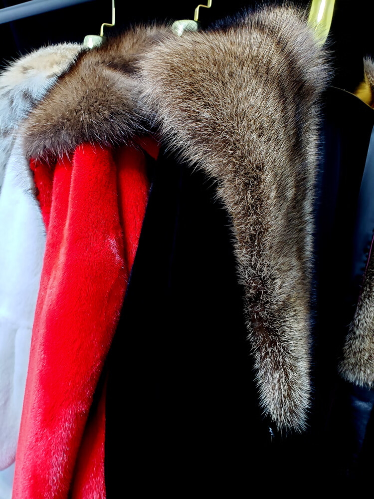 七匹狼宝嘉美貂皮整貂皮大衣男进口宝嘉美天鹅绒渔貂毛披肩帽中国红