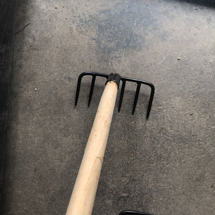 六齿钢耙六齿钉耙子钢叉子多齿耙6齿草耙园林绿植园艺农业工具锐衡 1.