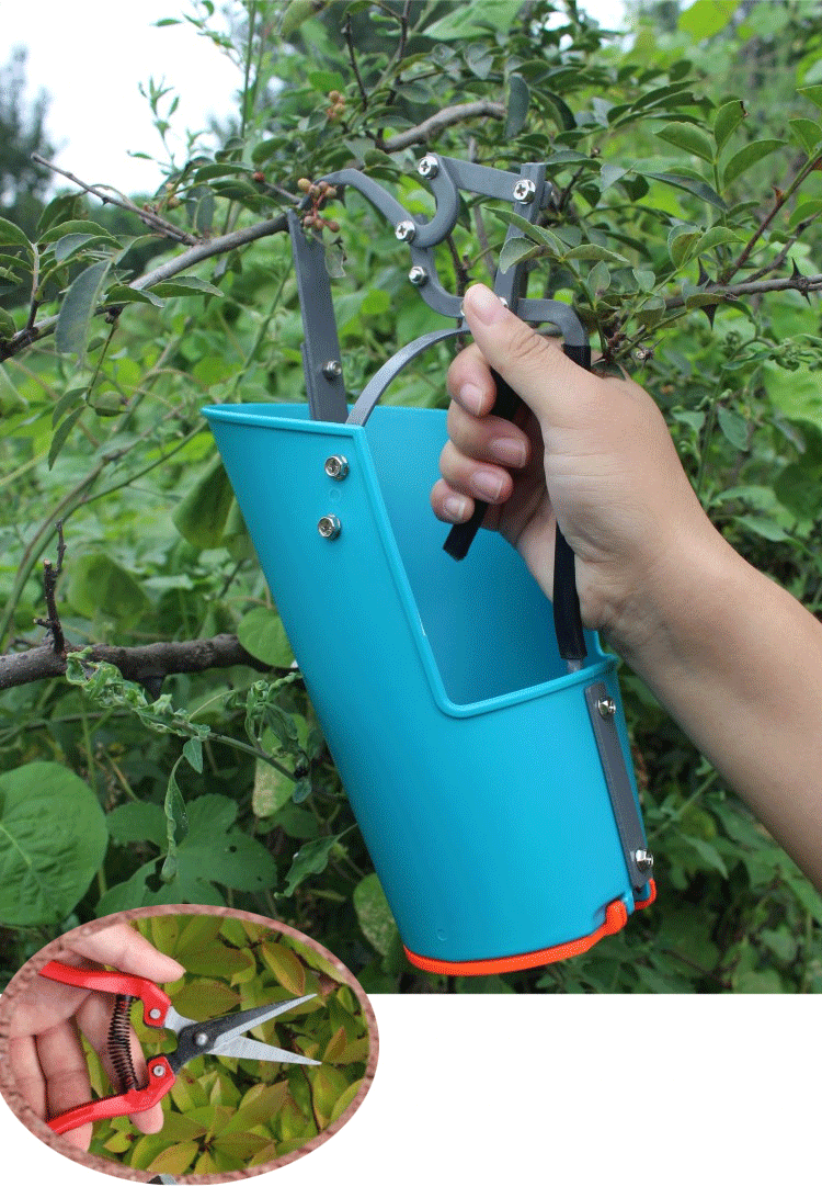 定做 摘花椒神器多功能手摘工具樱桃剪蓝莓荔枝龙眼黄皮枸杞摘果器 桶