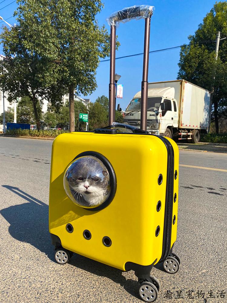 多功能宠物箱透明透气猫狗箱中型太空舱拉杆箱外出便携泡泡旅行箱小熊