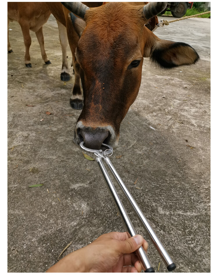 麦桑荷牛鼻环牛鼻圈不锈钢牛鼻夹子抓牛牛鼻子牵引扣