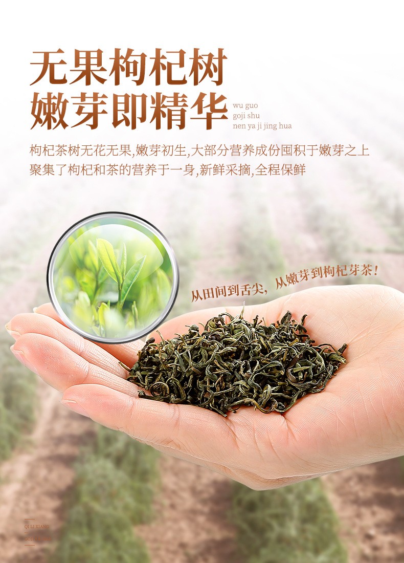 杞里香枸杞芽茶宁夏新鲜特产枸杞芽尖茶无果枸杞牙茶嫩叶茶苟杞构杞 1
