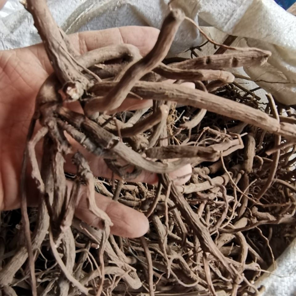 贵州苗药八爪金龙根中药材红叶开喉箭高八爪铁雨伞五爪金龙干货500g