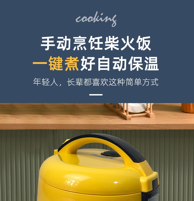 爱德(aide)电饭煲 电饭锅家用小2人多功能1-5人迷你煲汤米饭锅 电饭煲