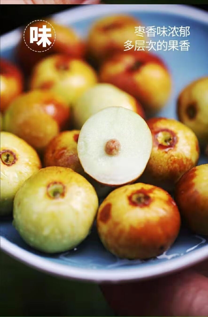 新疆和田蟠枣新鲜脆甜水果特一级超大果王皮薄 2斤 蟠枣【图片 价格