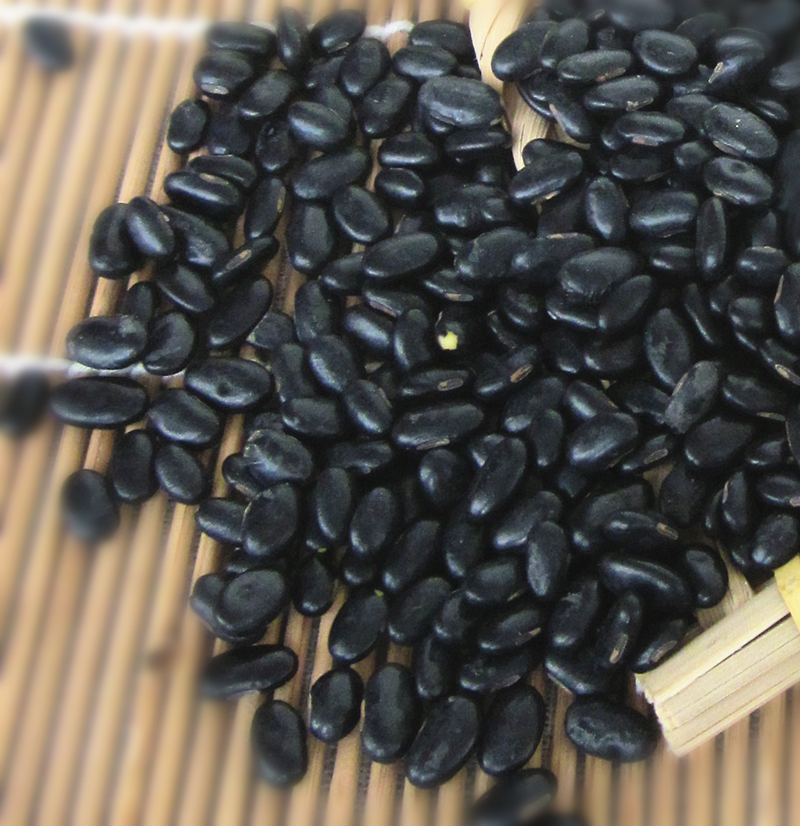 百日山黑豆中药材 乌豆 枝仔豆 黑小豆生黄芯心小黑豆500g 500g【图片
