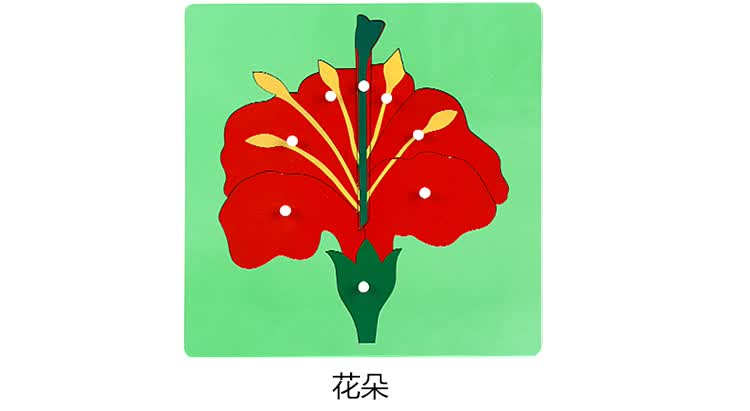 蒙氏动植物嵌板手抓板宝宝木质形状拼板儿童拼图玩具13岁36岁六一儿童