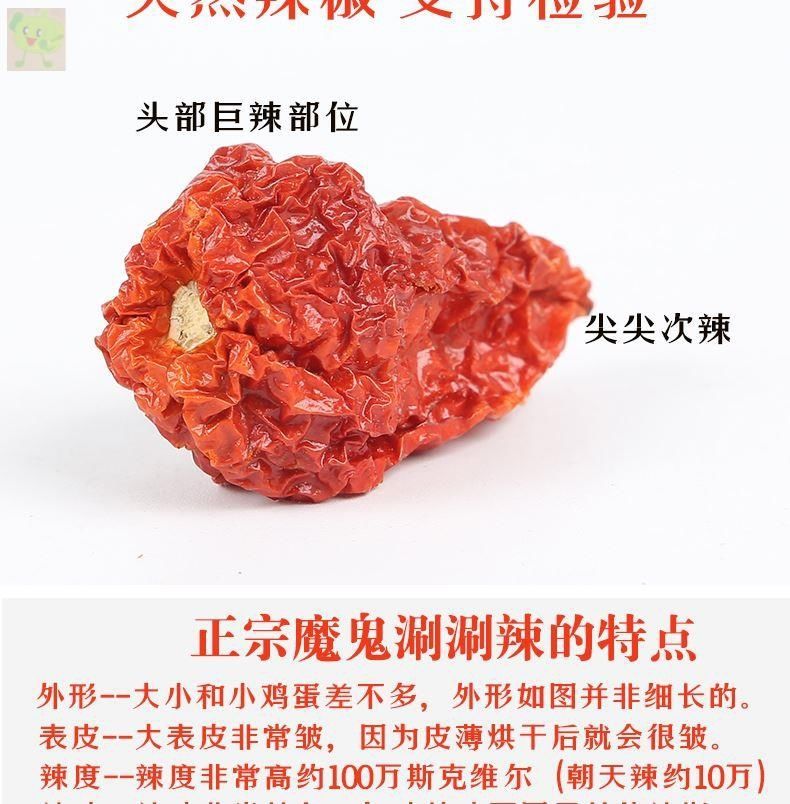 龙息辣椒卡罗莱纳死神辣椒涮涮辣椒干货印度魔鬼辣椒魔鬼椒超辣王50克