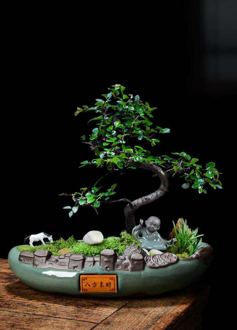 尘菁 紫砂哥窑盆客厅中国风微景观组合盆景盆大口径多肉拼盘创意中国