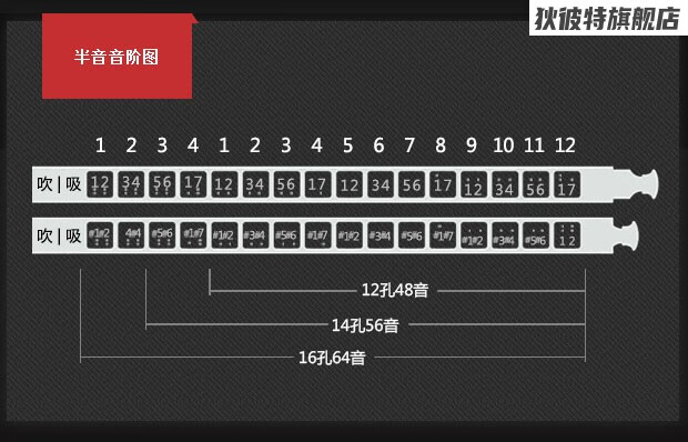 hohner和來德國原裝cx1212孔半音階acg動漫爵士流行口琴3秒拆卸保養f