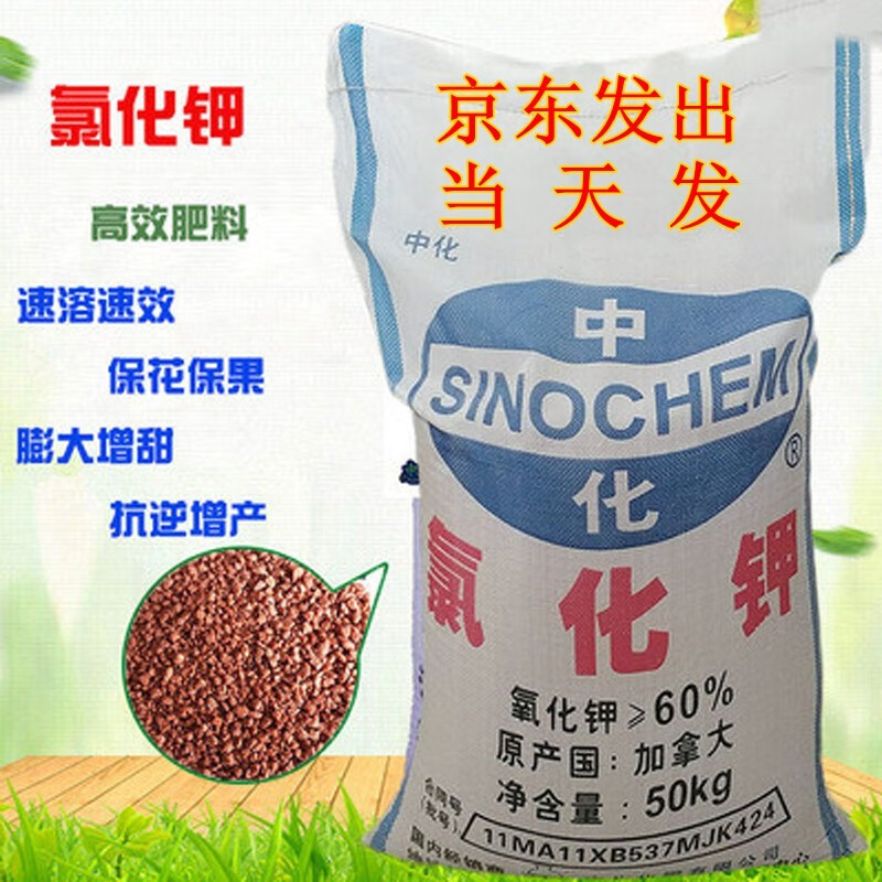 钾肥 农用钾肥 加拿大进口钾肥 60%钾肥 肥料 50公斤(发京东) 倍丰