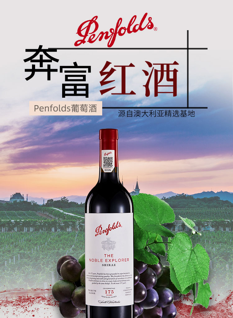 奔富红酒bin175周年礼赞系列红葡萄酒隽英臻酿设拉子赤霞珠澳洲两瓶