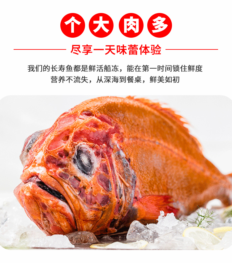 5斤/条新鲜富贵鱼南极长寿红鱼橙鲷鱼深海鱼 腾旺纳跃【图片 价格