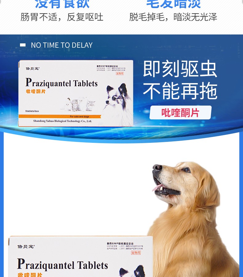 药体内除虫吡喹酮片宠物金毛边牧成幼犬猫通用驱虫打虫药吡喹酮片5片