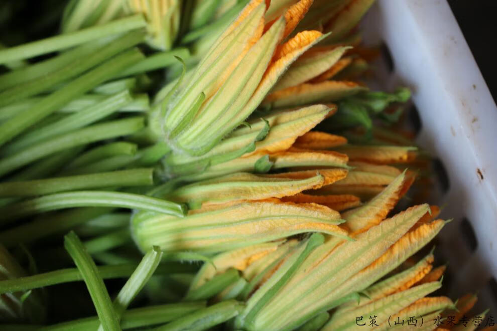 【露天菜园】自种新鲜南瓜花 食用蔬菜花 北瓜花倭瓜花番瓜花 特色菜