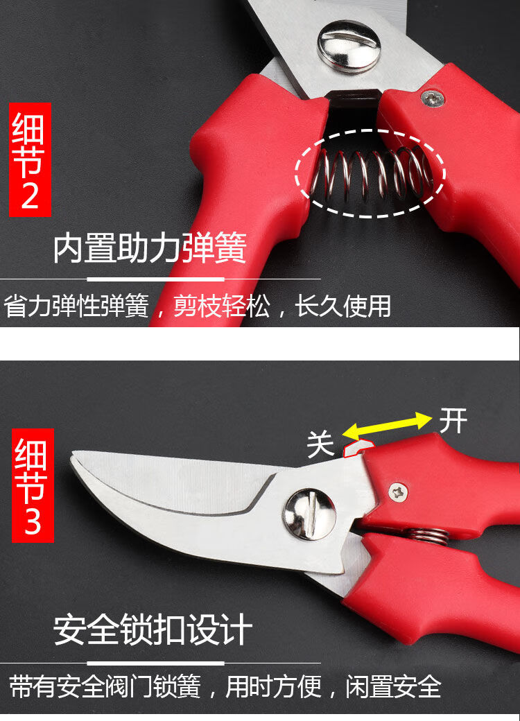 81cd10146f25848d.jpg