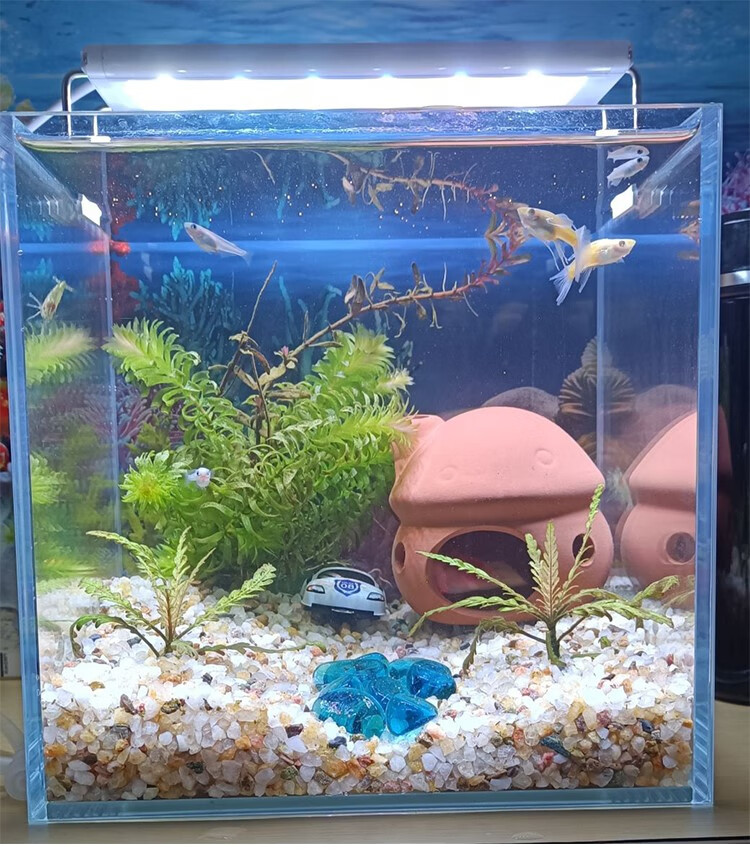 鱼缸躲避屋养鱼用品慈鲷鱼造景虾窝虾屋躲避洞摆件小鱼观赏虾陶罐