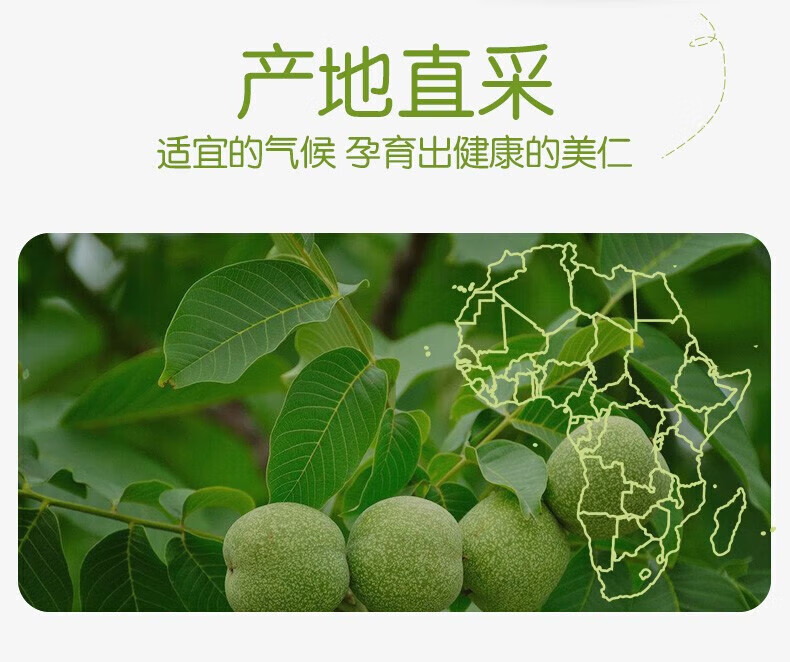 味滋源 每日坚果 坚果礼盒零食干果开坚果瓜子焦糖送礼500g心果核桃仁腰果送礼 焦糖瓜子 500g/袋 1份详情图片125