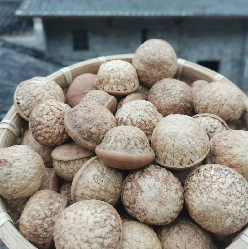 伟博广西野生风流果新货500g1000g产地直发精选益肾子泡酒料1000g