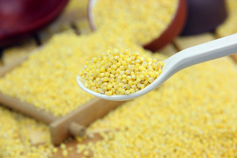 赣香婆 陕北硬糜子米 陕北农家自产精选糜米 硬黄米 硬糜子米 稷米