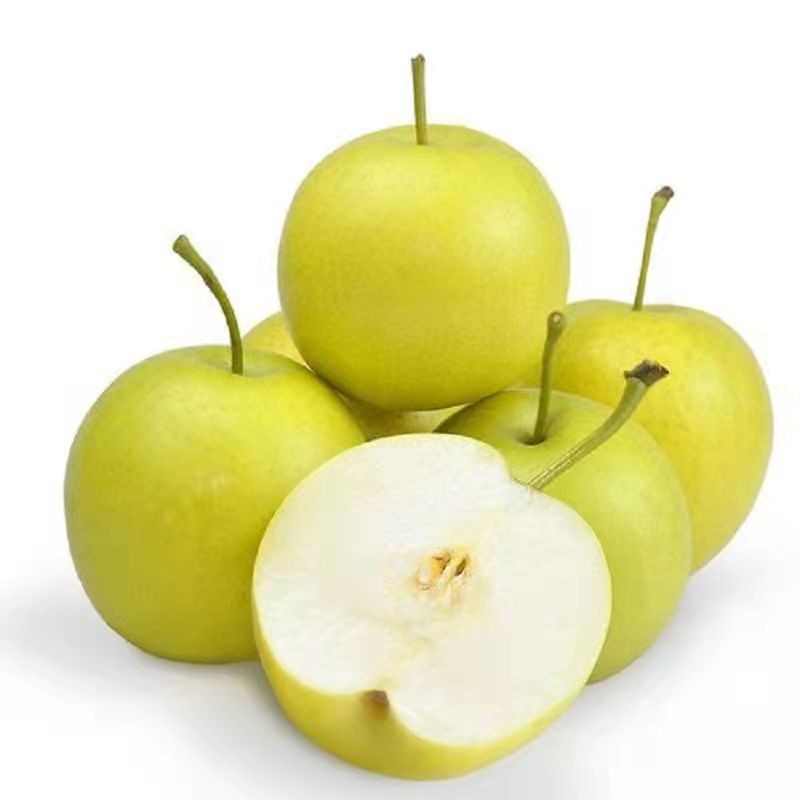 砀宁果品 梨酥梨青梨皇冠梨新鲜水果梨子 皇冠梨3斤【图片 价格 品牌