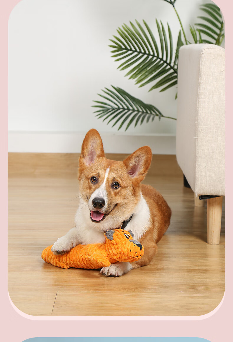 mpets狗玩具狗狗解闷神器耐咬磨牙发声柯基泰迪小大型犬宠物玩具花豹