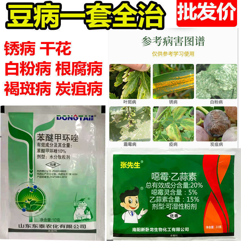 豆角专用药豆类专用剂豆病全治锈病干花白粉炭疽病剂批发豆病全治3套