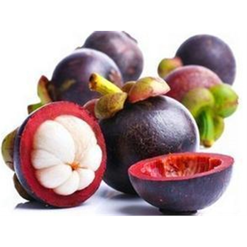 山竹苗 山竹树苗 当年结果 盆栽 树苗 南方种植 北方地栽 红肉山竹4年