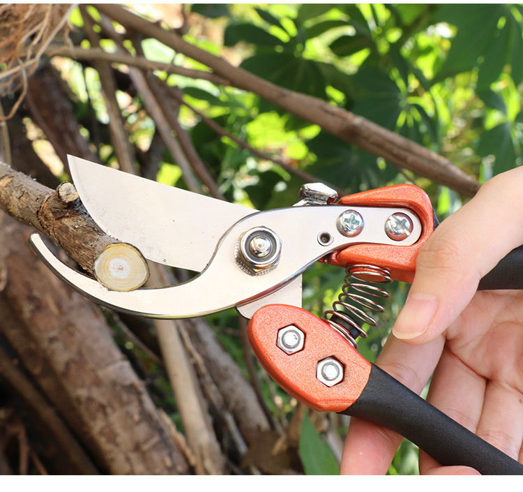 修枝剪粗枝剪剪粗树枝修花木采摘花椒苹果sk5强力园林剪枝条剪子s金属