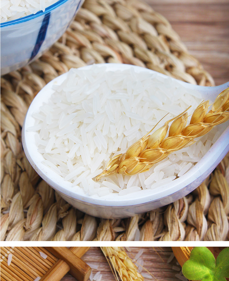 虾稻鲜米当季新米优质虾稻米长粒香米虾稻米5kg