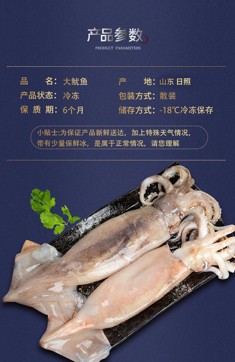新鲜味道好【中号鱿鱼】深海海捕大西洋冷冻鱿鱼野生新鲜大鱿鱼整只