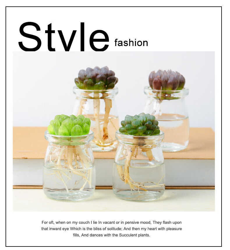 佟年精选 多肉植物水培多肉玻璃瓶水培多肉肉肉植物多肉大颗多肉植物套餐一 2颗品质多肉 2瓶送水珠 居家 淘气哥导购网 为您的老公老婆孩子老人精挑性价比高的礼物品