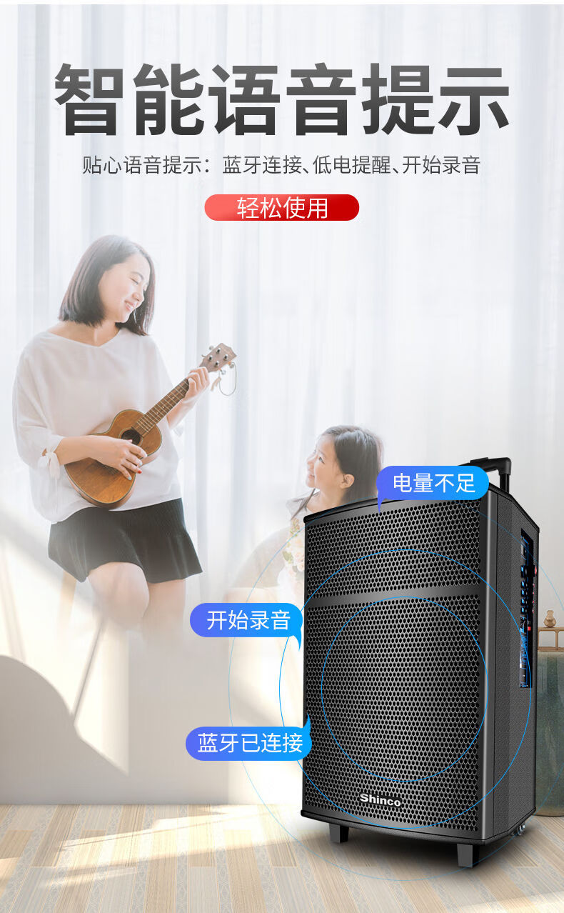 索尼(sony)适用三分频户外音响广场舞大音量专业演出重低音大功率移动