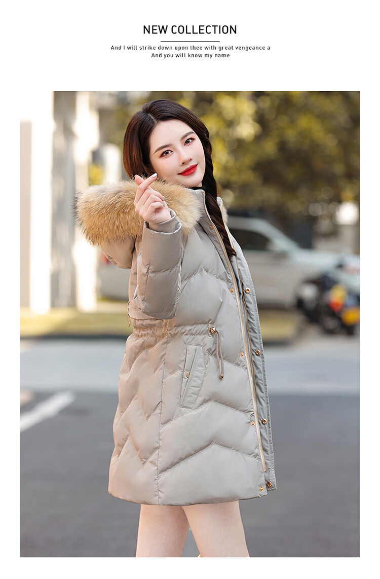 fb53dca48069faf3.jpg