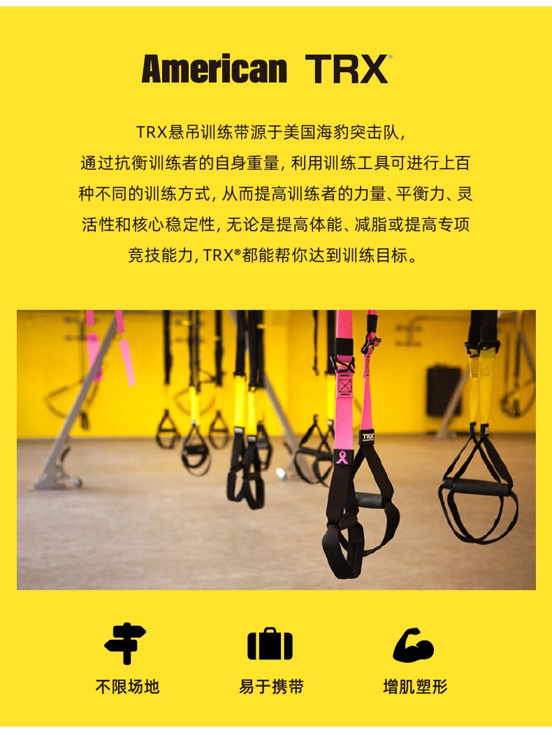 Trx悬挂式训练带男女家用健身器材全身抗阻力训练平衡弹力带阻力绳trx All In One 图片价格品牌报价 京东