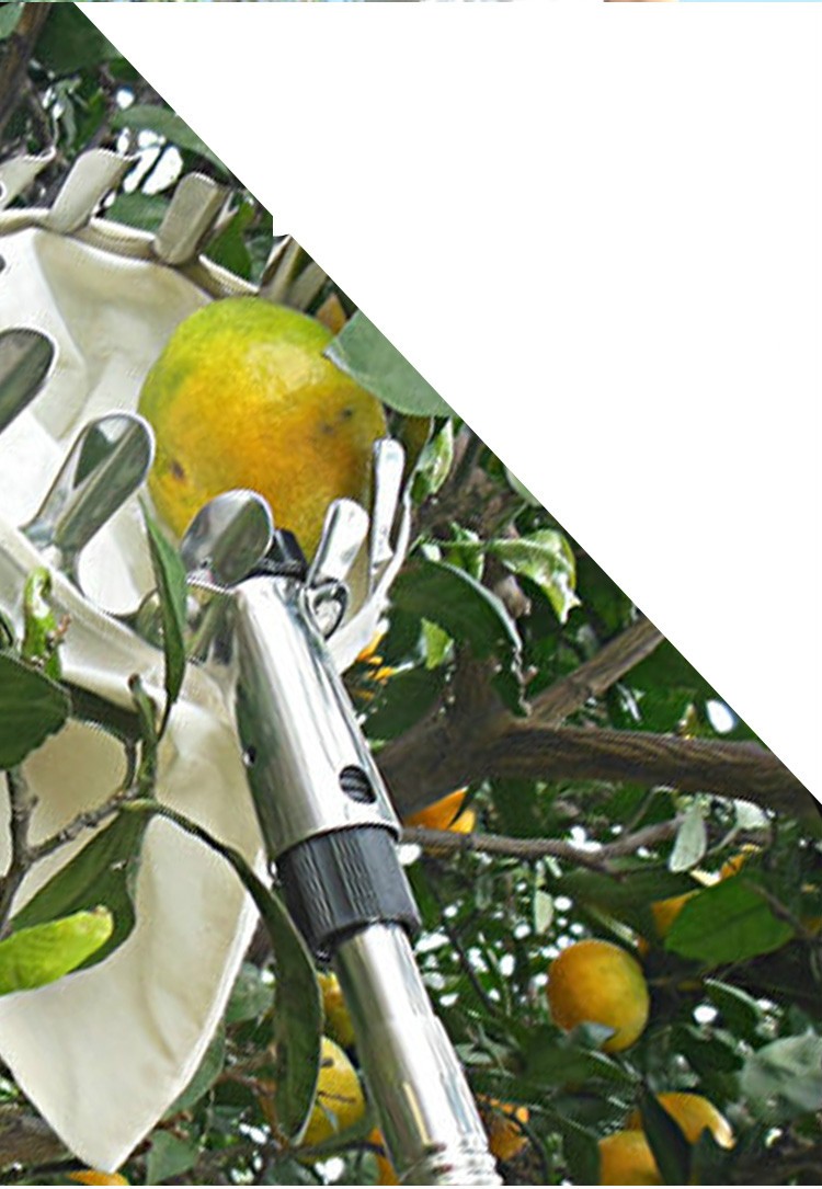 斯柏克 高空摘果器伸缩杆摘水果工具可采李子莲蓬果园采摘器摘芒果sbk