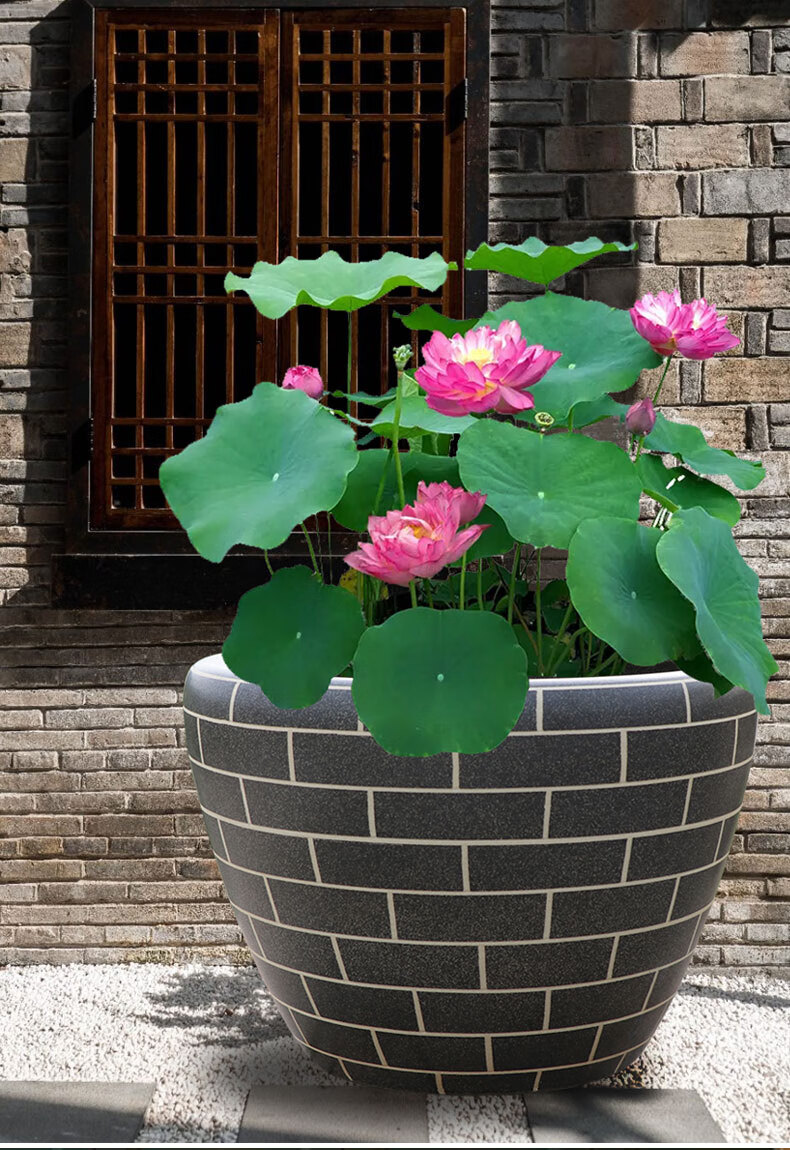 蒂乐森景德镇陶瓷鱼缸老式大水缸养鱼乌龟缸阳台睡莲荷花缸室外庭院