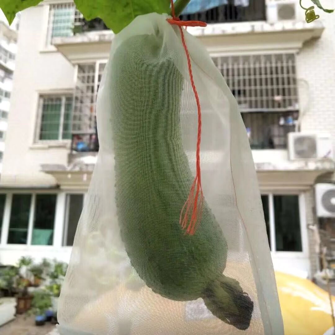 【精选】尼龙网袋瓜果防虫袋丝瓜苦瓜套袋 40x22厘米 50个【图片 价格