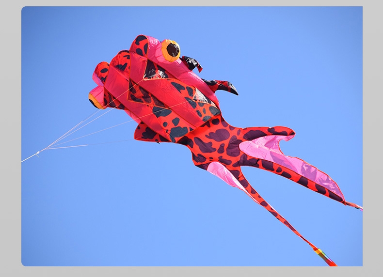 软体风筝 3d立体大风筝大型超大长尾好飞无骨架山东潍坊软体金鱼风筝